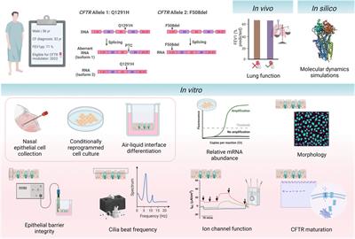 Q1291H-CFTR molecular dynamics simulations and ex vivo theratyping in nasal epithelial models and clinical response to elexacaftor/tezacaftor/ivacaftor in a Q1291H/F508del patient